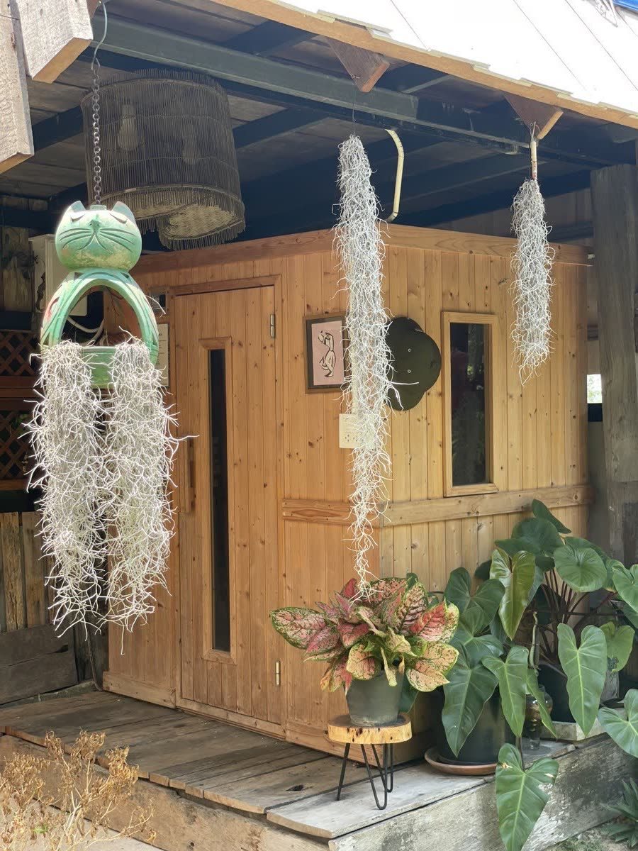 Wood-fired sauna at Tree Roots Retreat, Rayong