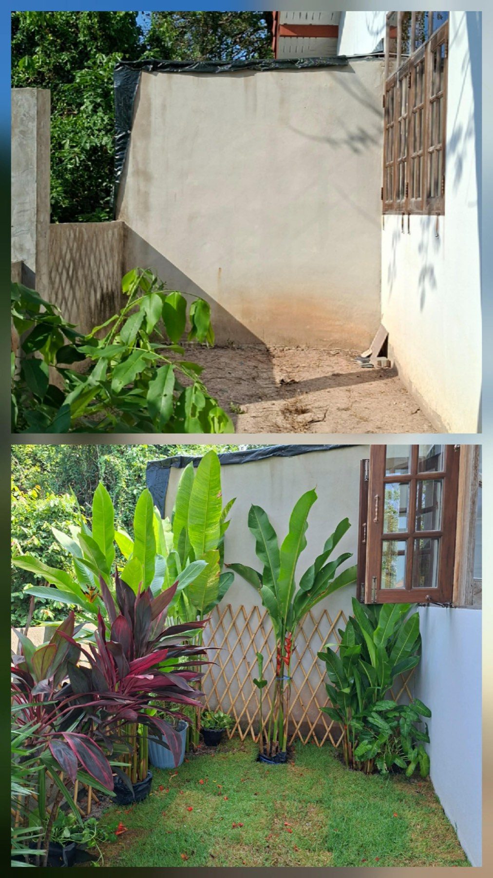 Patio garden — before & after.
